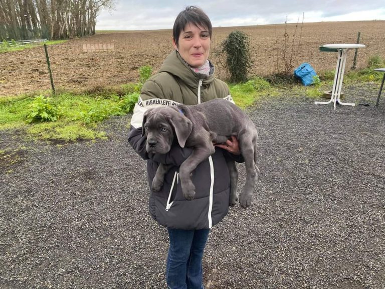 Photo d'Elsa avec un chien en stage d'éducation - Education canine en Eure-et-Loir
