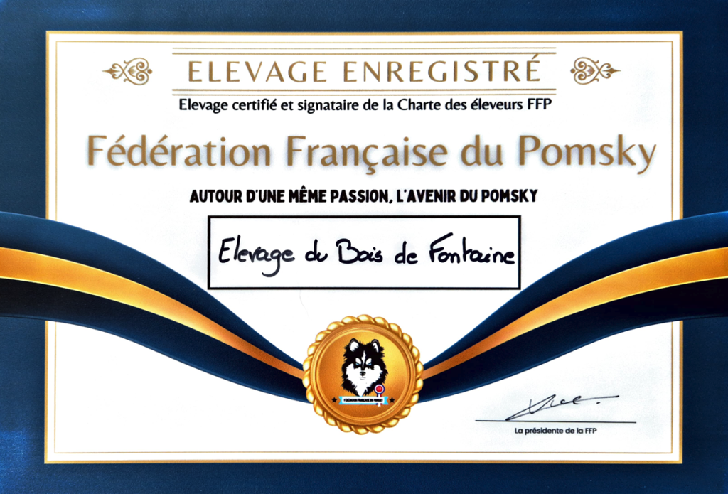 Certification - Elevage Pomsky du Bois de Fontaine