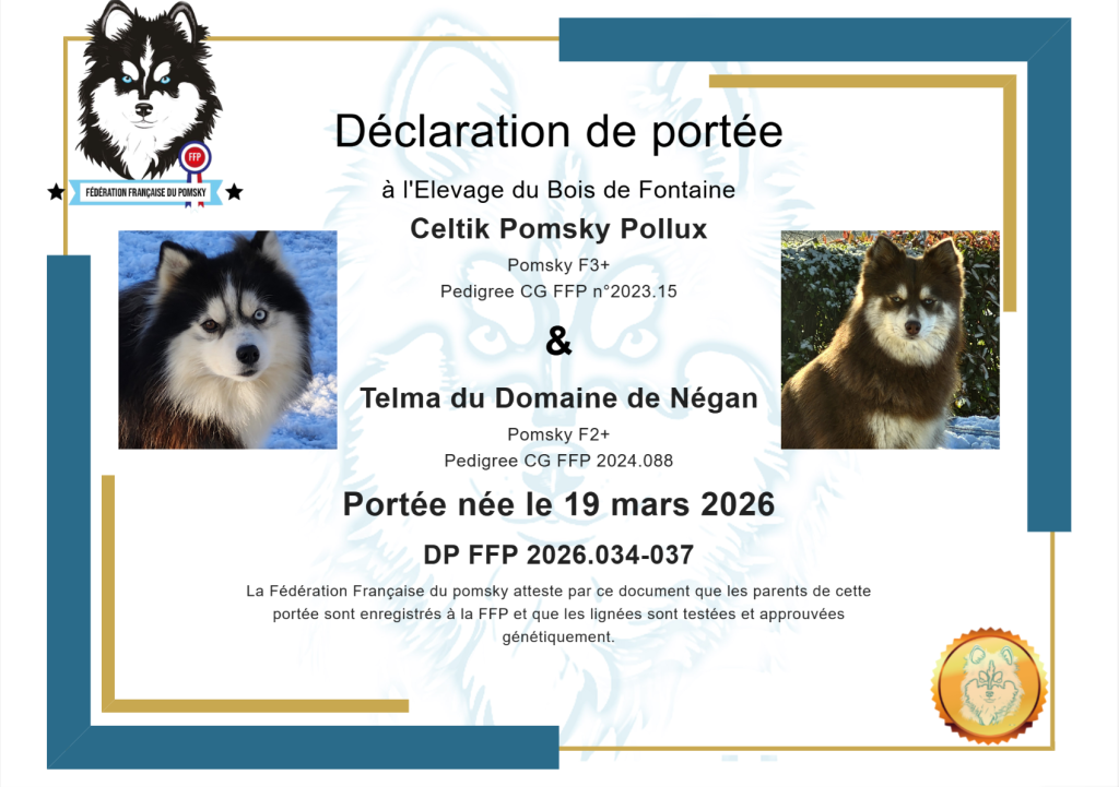 Déclaration de portée - Mars 2026